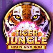Cá cược trực tiếp tại mb6666 win